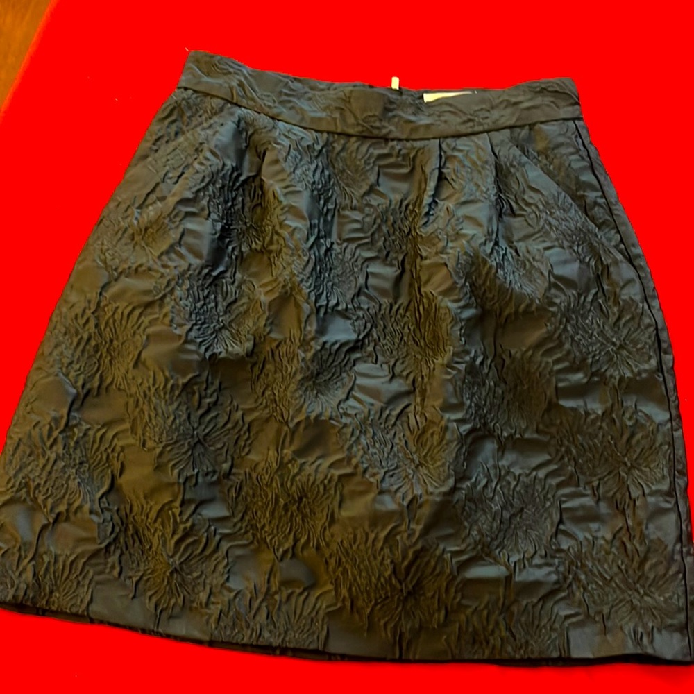 H&M skirt